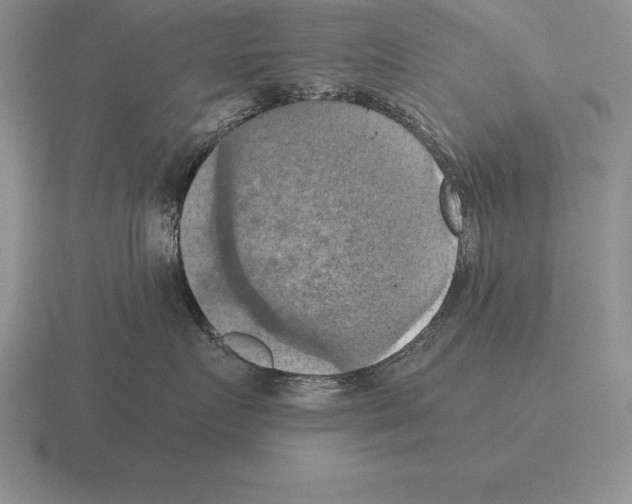 X0000115410719200912151542