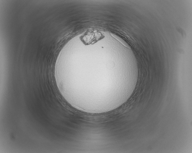 X0000115410720200912151542