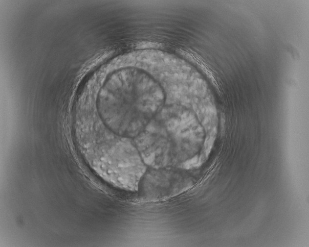 X0000115410721200912151541