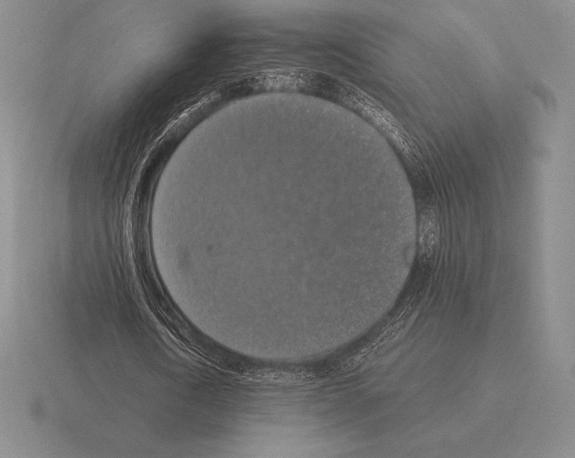 X0000115410722200912151541