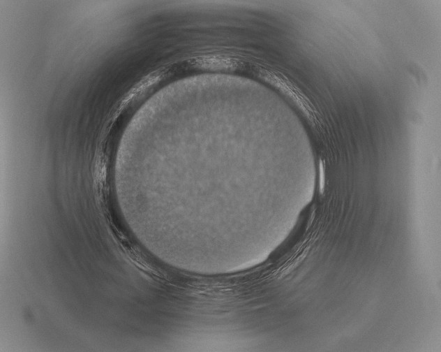 X0000115410723200912151541