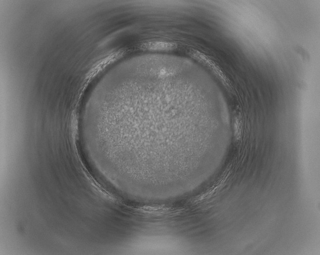 X0000115410725200912151541