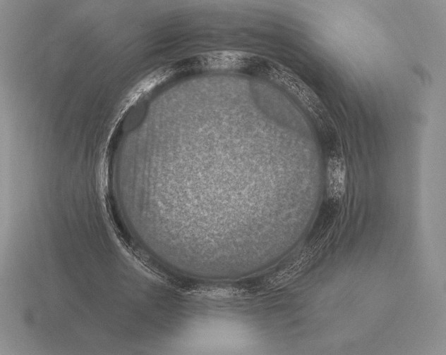 X0000115410726200912151541