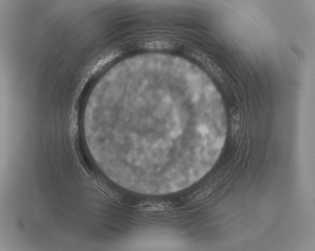 X0000115410727200912151541