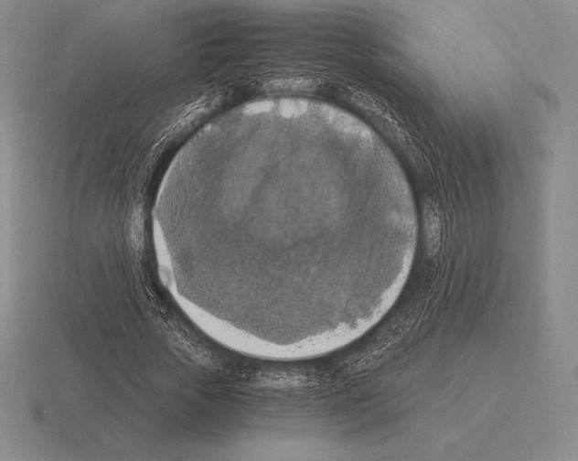 X0000115410729200912151541