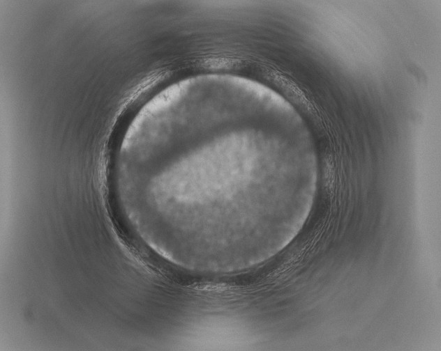 X0000115410730200912151541