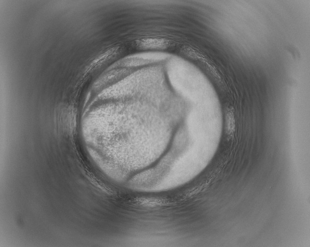 X0000115410733200912151541