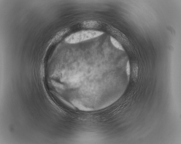 X0000115410734200912151541