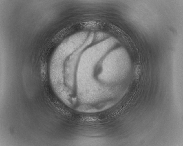 X0000115410737200912151541