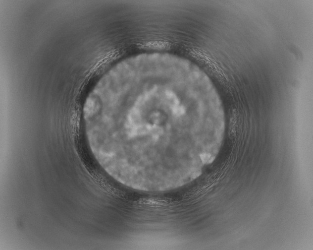 X0000115410739200912151541