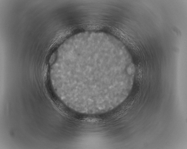 X0000115410742200912151541