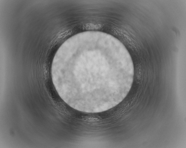 X0000115410743200912151541