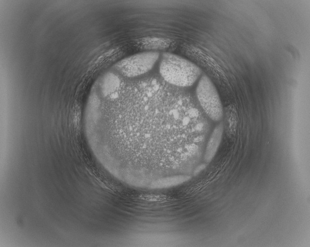 X0000115410745200912151541