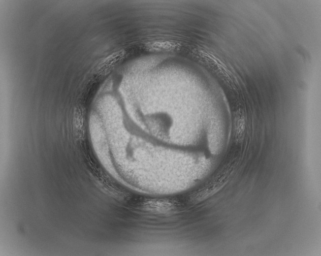 X0000115410749200912151541