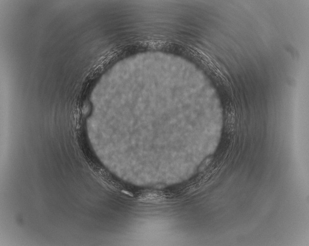 X0000115410750200912151541