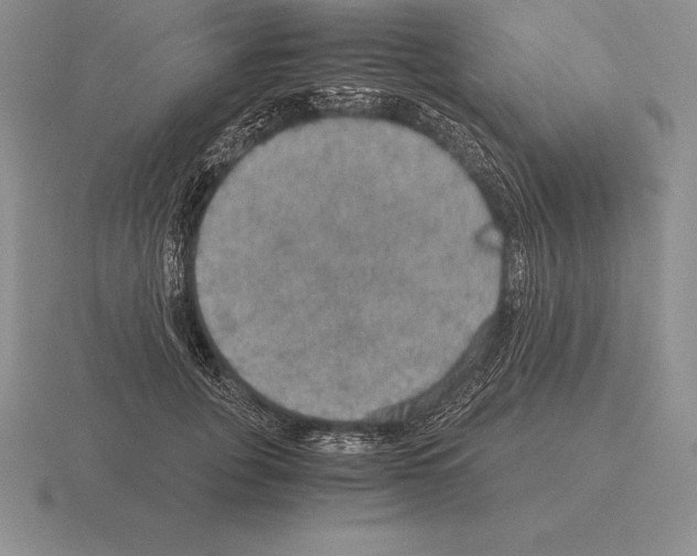 X0000115410751200912151541