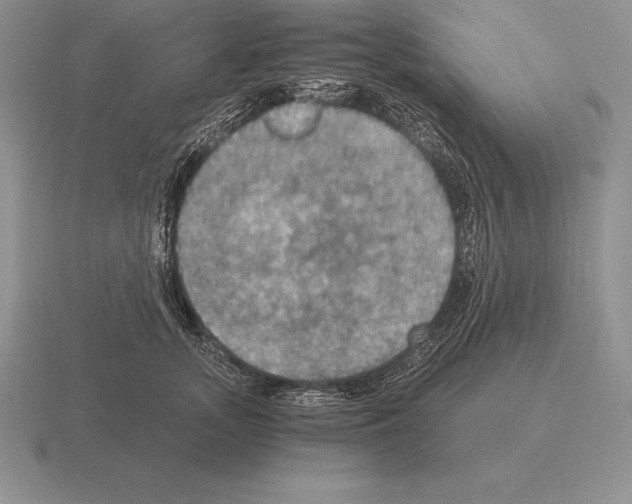 X0000115410755200912151541