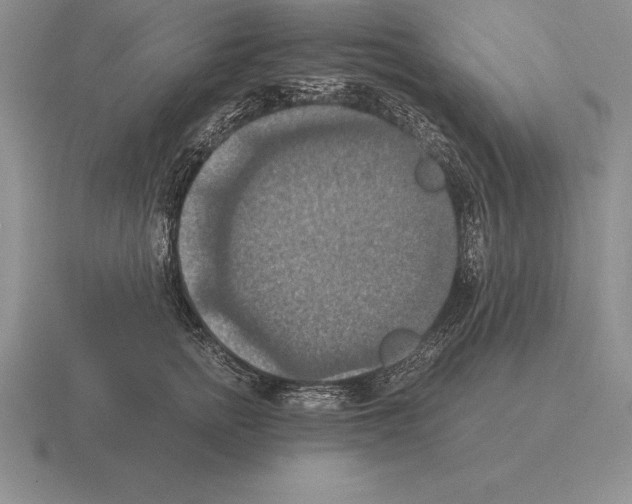 X0000115410758200912151542