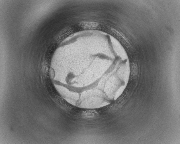 X0000115410761200912151542