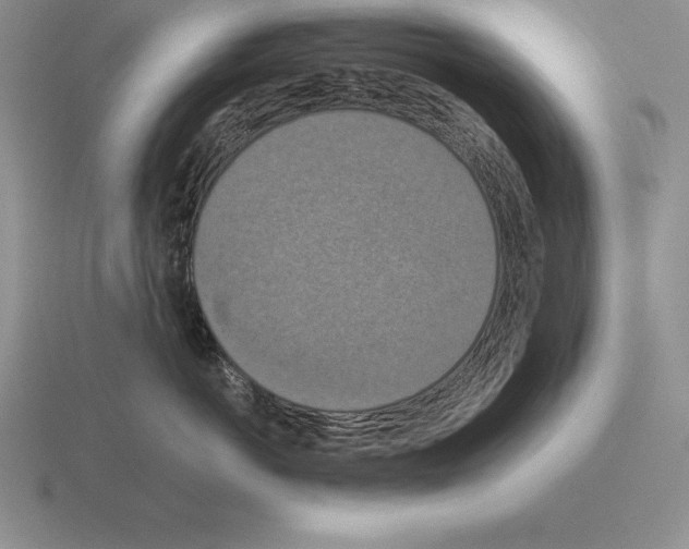 X0000115410766200912151542