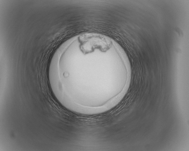 X0000115410769200912151541