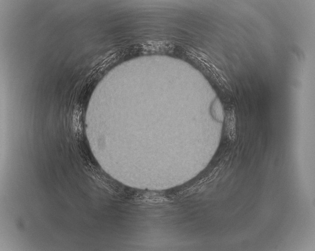 X0000115410770200912151541