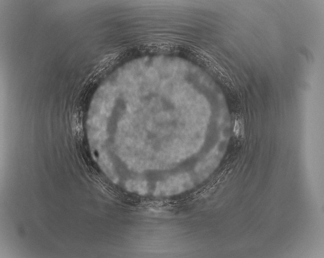 X0000115410771200912151541