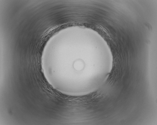 X0000115410773200912151541