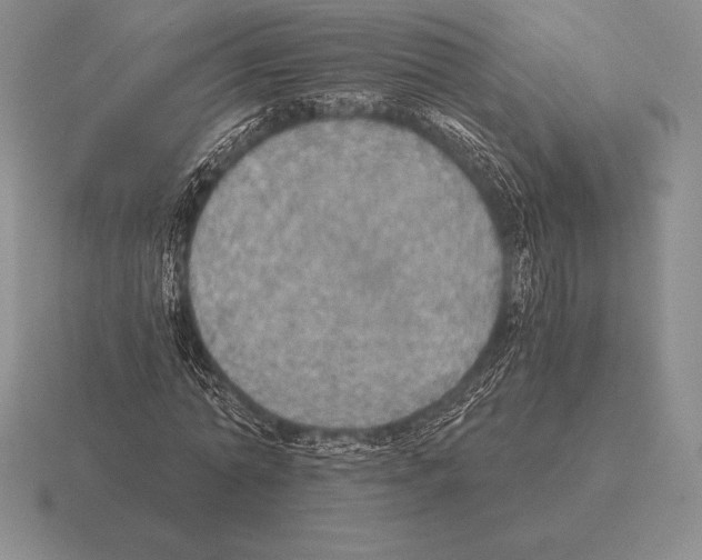 X0000115410774200912151541