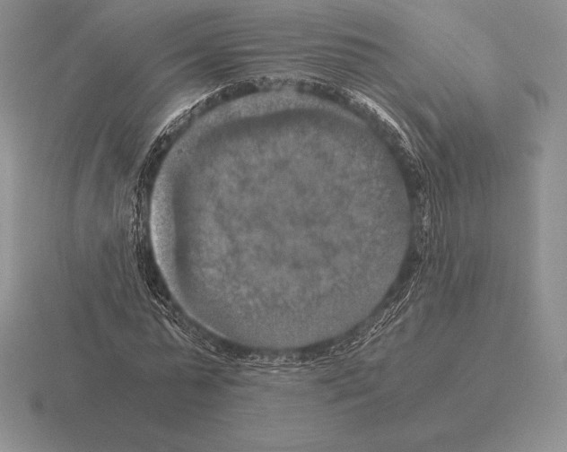 X0000115410775200912151541