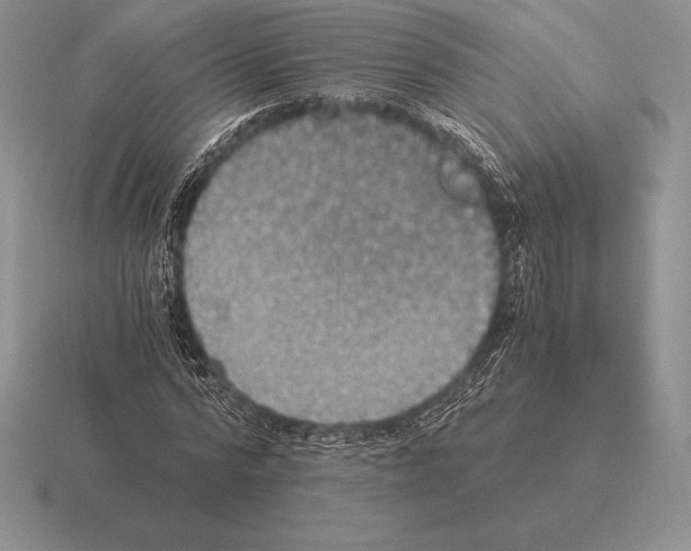 X0000115410776200912151541