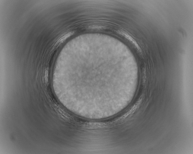 X0000115410777200912151541