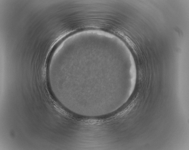 X0000115410779200912151541