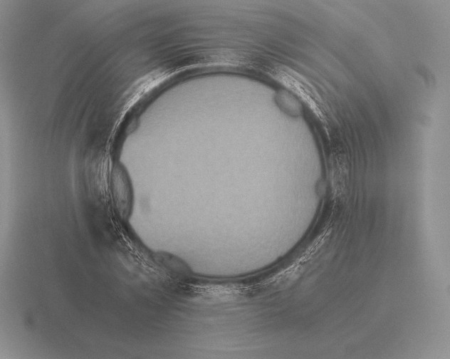 X0000115410781200912151541