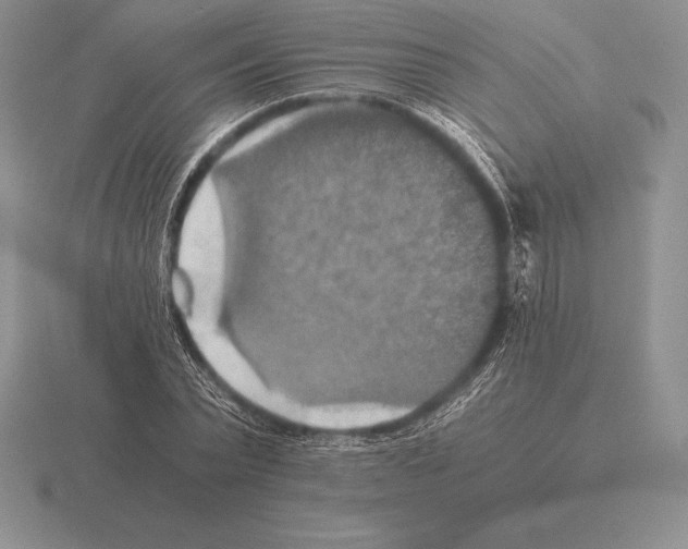 X0000115410783200912151541