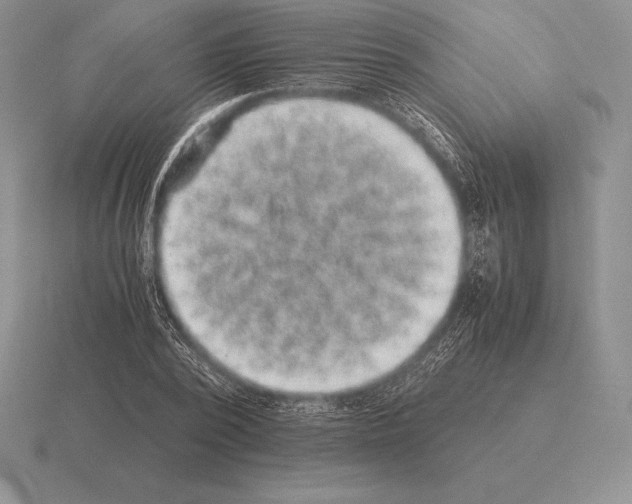 X0000115410784200912151541