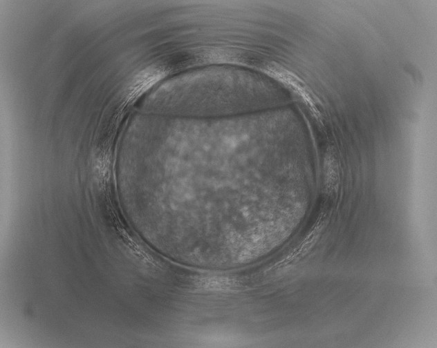 X0000115410785200912151541