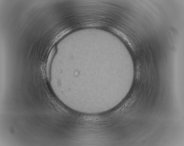 X0000115410786200912151541