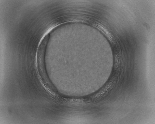 X0000115410788200912151541