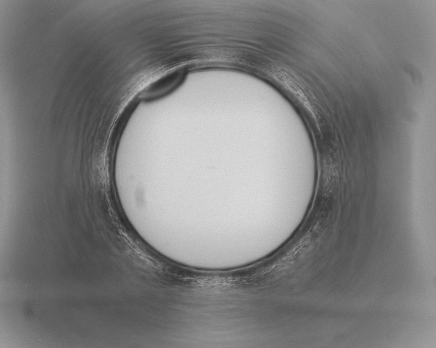 X0000115410789200912151541