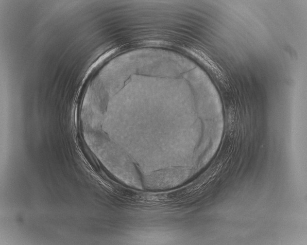 X0000115410790200912151541