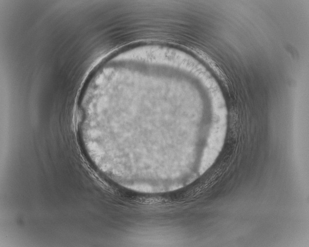 X0000115410791200912151541