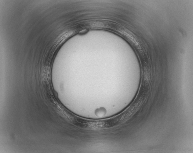 X0000115410793200912151541