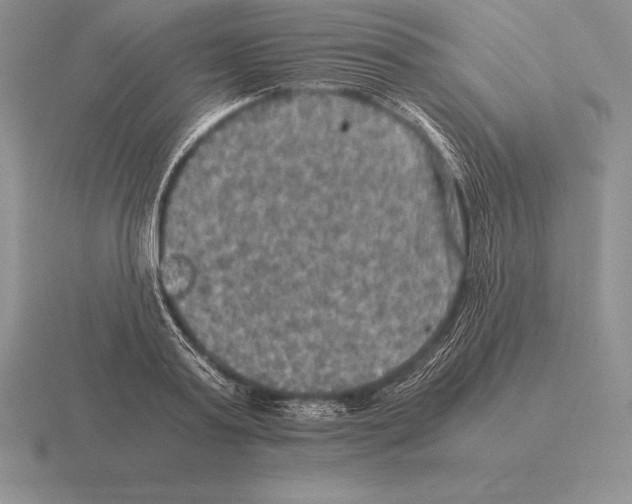 X0000115410795200912151540