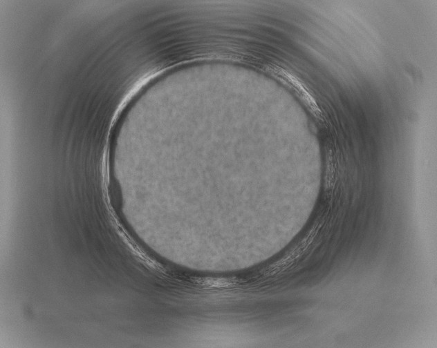 X0000115410796200912151540