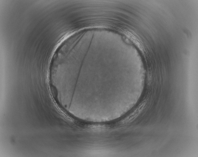 X0000115410797200912151540