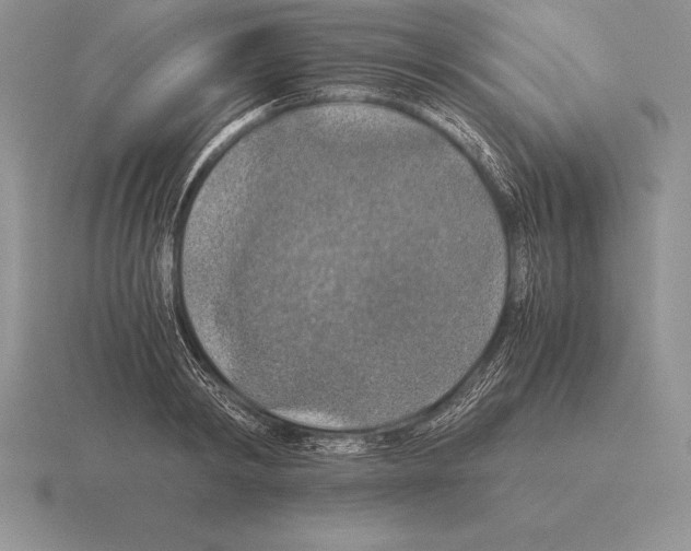 X0000115410798200912151540