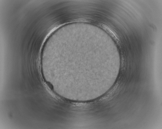 X0000115410800200912151540