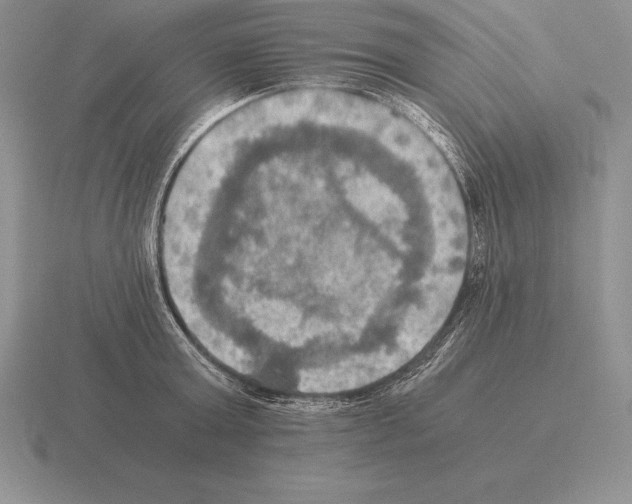 X0000115410803200912151540