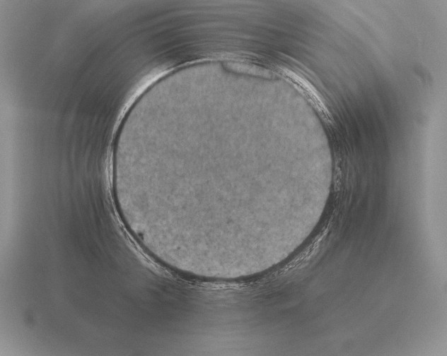 X0000115410804200912151540